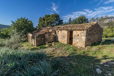 Masia a Alaro, Mallorca, Alaro - € 2.220.000 | Ref: VFA2591/13188 - foto 12