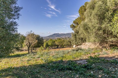 Masia a Alaro, Mallorca, Alaro - € 2.220.000 | Ref: VFA2591/13188 - foto 13