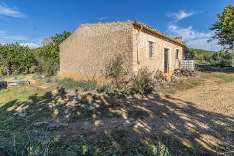 Masia a Alaro, Mallorca, Alaro - € 2.220.000 | Ref: VFA2591/13188 - foto 14