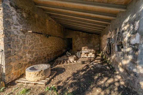 Masia a Alaro, Mallorca, Alaro - € 2.220.000 | Ref: VFA2591/13188 - foto 15