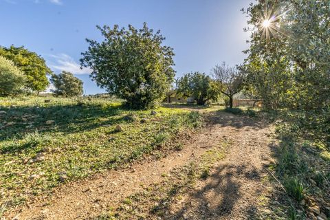 Masia a Alaro, Mallorca, Alaro - € 2.220.000 | Ref: VFA2591/13188 - foto 17