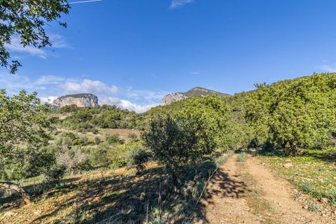 Masia a Alaro, Mallorca, Alaro - € 2.220.000 | Ref: VFA2591/13188 - foto 18