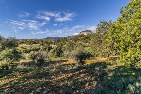 Masia a Alaro, Mallorca, Alaro - € 2.220.000 | Ref: VFA2591/13188 - foto 19
