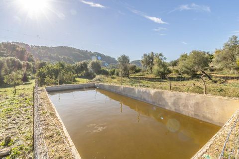 Masia a Alaro, Mallorca, Alaro - € 2.220.000 | Ref: VFA2591/13188 - foto 20