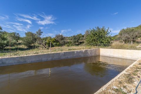 Masia a Alaro, Mallorca, Alaro - € 2.220.000 | Ref: VFA2591/13188 - foto 21