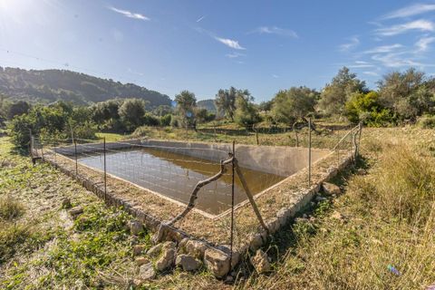 Masia a Alaro, Mallorca, Alaro - € 2.220.000 | Ref: VFA2591/13188 - foto 22