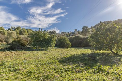 Masia a Alaro, Mallorca, Alaro - € 2.220.000 | Ref: VFA2591/13188 - foto 23