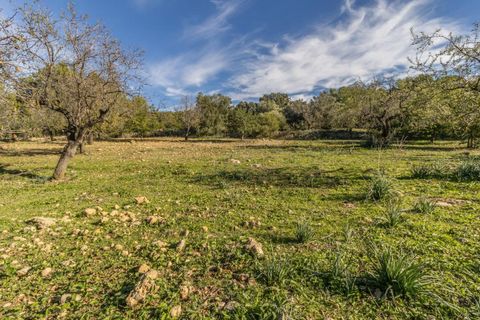 Masia a Alaro, Mallorca, Alaro - € 2.220.000 | Ref: VFA2591/13188 - foto 24