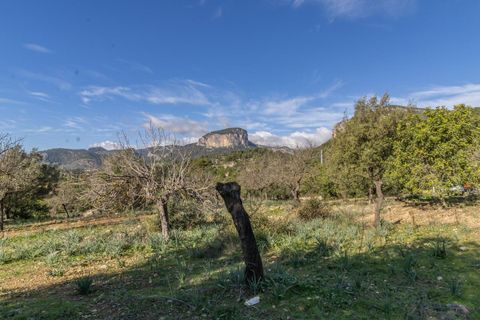 Masia a Alaro, Mallorca, Alaro - € 2.220.000 | Ref: VFA2591/13188 - foto 25