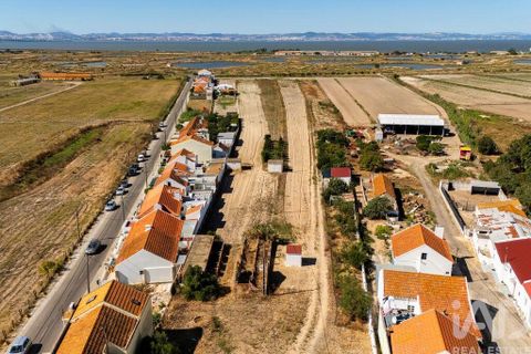 Terra a Alcochete, Setubal, Alcochete - € 125.000 | Ref: 149471 - foto 2