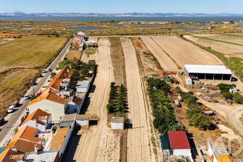 Terra a Alcochete, Setubal, Alcochete - € 125.000 | Ref: 149471 - foto 5