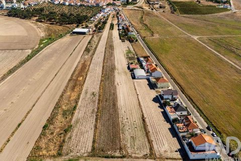 Terra a Alcochete, Setubal, Alcochete - € 125.000 | Ref: 149471 - foto 6