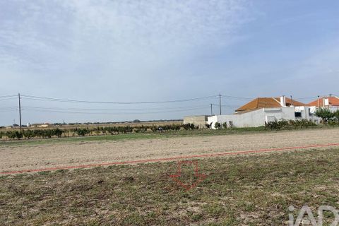 Terra a Alcochete, Setubal, Alcochete - € 125.000 | Ref: 149471 - foto 17