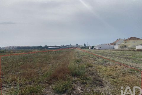 Terra a Alcochete, Setubal, Alcochete - € 125.000 | Ref: 149471 - foto 18