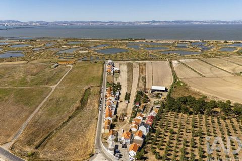 Terra a Alcochete, Setubal, Alcochete - € 125.000 | Ref: 149471 - foto 19