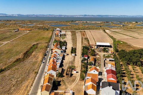 Terra a Alcochete, Setubal, Alcochete - € 125.000 | Ref: 149471 - foto 20