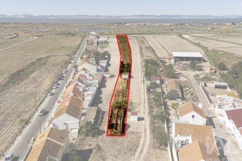 Terra a Alcochete, Setubal, Alcochete - € 125.000 | Ref: 149471 - foto 21