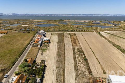 Terra a Alcochete, Setubal, Alcochete - € 125.000 | Ref: 149471 - foto 22