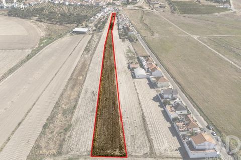 Terra a Alcochete, Setubal, Alcochete - € 125.000 | Ref: 149471 - foto 23