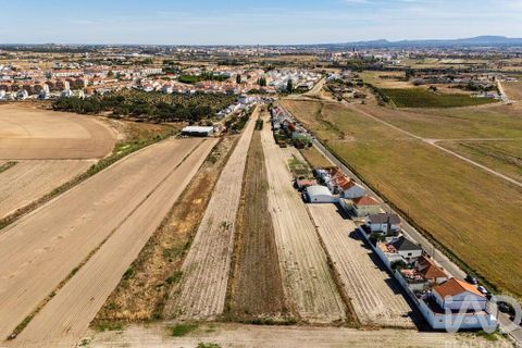 Terra a Alcochete, Setubal, Alcochete - € 125.000 | Ref: 149471 - foto 24