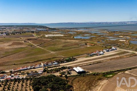 Terra a Alcochete, Setubal, Alcochete - € 125.000 | Ref: 149471 - foto 26