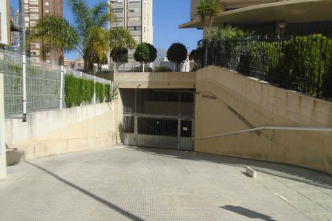 Erhvervsejendom i Benidorm, Alicante, Benidorm - € 5.500 | Ref: G046 - foto 2