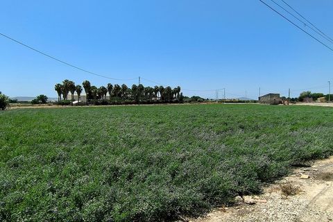 Byhus i Almoradi, Alicante, Almoradi - € 150.000 | Ref: 2468 - foto 32