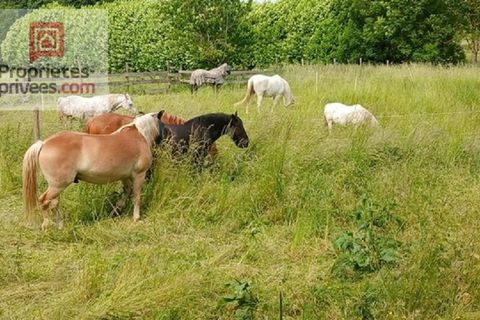 Villa en Roye, Somme, Roye - € 499.000 | Ref: 419593TYM - photo 15