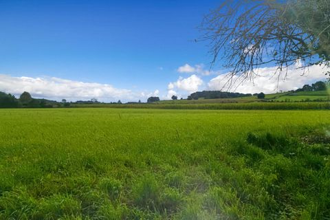 Helårsgrund i Bidache, Pyrenees-Atlantiques, Bidache - € 308.000 | Ref: 421211ADA - foto 8