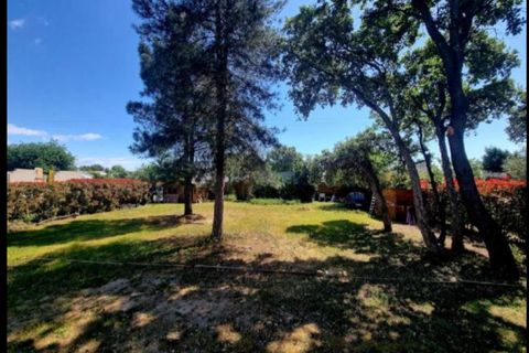 Villa i Ghisonaccia, Haute-Corse, Ghisonaccia - € 363.000 | Ref: 421275KFL - foto 9