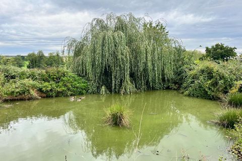 Villa a Yzeure, Allier, Yzeure - € 192.000 | Ref: 420136LHS - foto 2