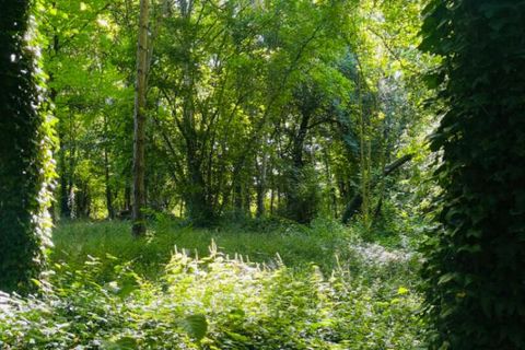 Villa i Marcilly-sur-Seine, Marne, Marcilly-sur-Seine - € 469.000 | Ref: 418608QDA - foto 13