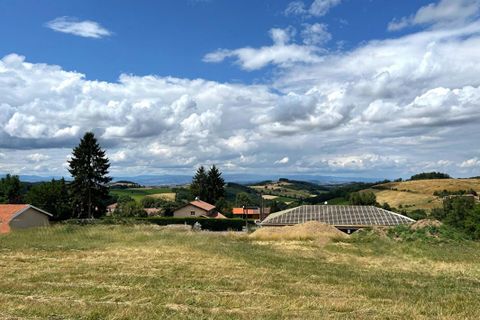 Terra a Violay, Loire, Violay - € 85.000 | Ref: 419283CLN - foto 3