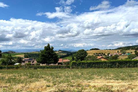 Terra a Violay, Loire, Violay - € 85.000 | Ref: 419283CLN - foto 6