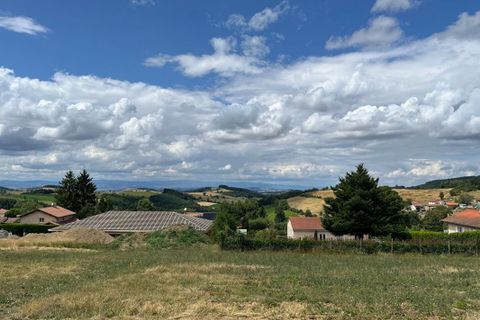 Terra a Violay, Loire, Violay - € 85.000 | Ref: 419283CLN - foto 7