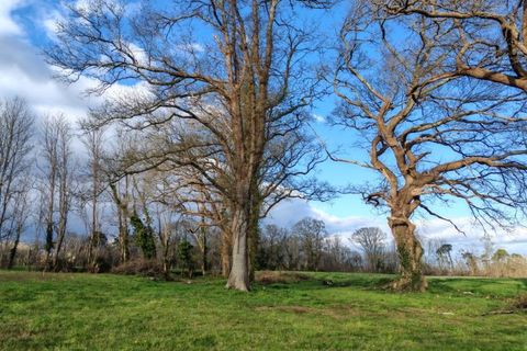 Farm hus i Dax, Landes, Dax - € 140.000 | Ref: 419297PAMO - foto 3