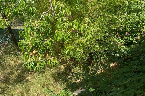 Villa i Belabre, Indre, Belabre - € 36.000 | Ref: 417946LGUN - foto 3
