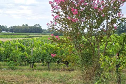 Erhvervsejendom i Blaye, Gironde, Blaye - € 1.351.000 | Ref: 416862BGA - foto 3