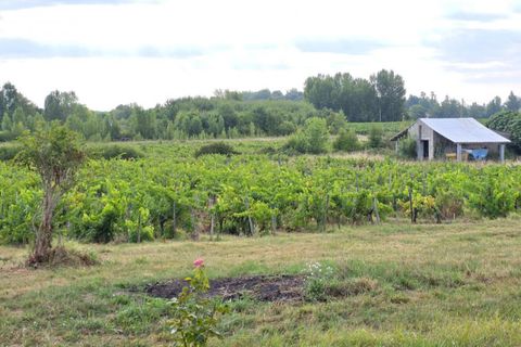 Erhvervsejendom i Blaye, Gironde, Blaye - € 1.351.000 | Ref: 416862BGA - foto 4