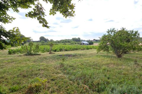 Erhvervsejendom i Blaye, Gironde, Blaye - € 1.351.000 | Ref: 416862BGA - foto 5