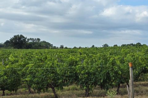Erhvervsejendom i Blaye, Gironde, Blaye - € 1.351.000 | Ref: 416862BGA - foto 6