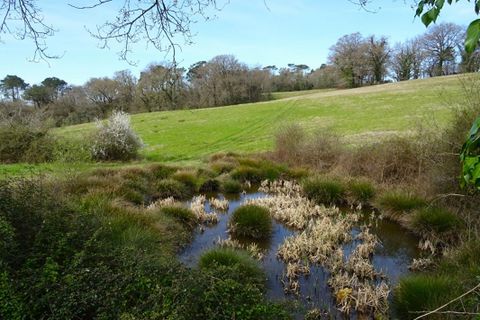 Villa a Caupenne, Landes, Caupenne - € 375.000 | Ref: 416960NNP - foto 12