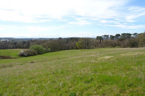 Villa a Caupenne, Landes, Caupenne - € 375.000 | Ref: 416960NNP - foto 13