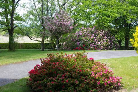 Villa a Sarran, Correze, Sarran - € 440.000 | Ref: 415465CCOV - foto 13
