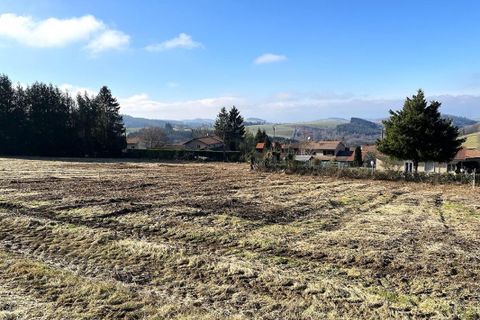 Terra a Violay, Loire, Violay - € 83.000 | Ref: 416439CLN - foto 4