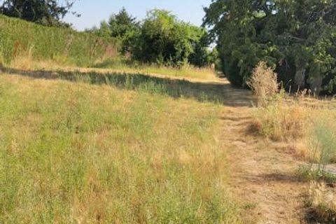 Terra a Chateauroux, Indre, Chateauroux - € 65.000 | Ref: 414396JECB - foto 2