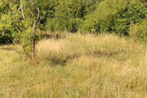 Terra a Chateauroux, Indre, Chateauroux - € 65.000 | Ref: 414396JECB - foto 3