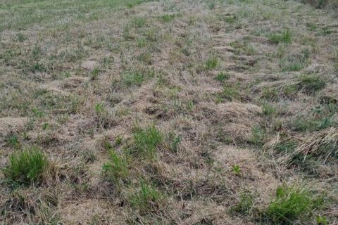 Terra a Lorris, Loiret, Lorris - € 89.000 | Ref: 414033JCV - foto 5