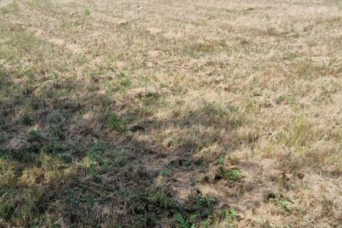 Terra a Lorris, Loiret, Lorris - € 89.000 | Ref: 414033JCV - foto 7