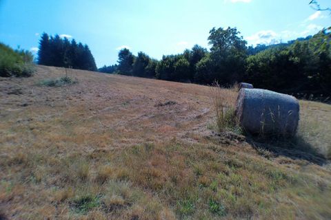 Tomt i Thiers, Puy-de-Dome, Thiers - € 50 000 | Ref: 408533GERG - foto 5